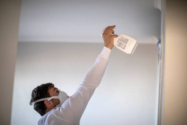 Best Preventive Mold Services in Claxton, GA