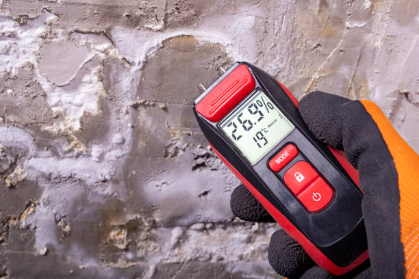 Best Health and Safety Mold Remediation in Claxton, GA