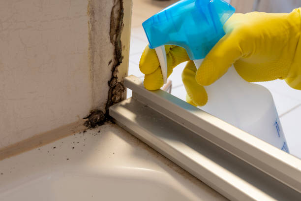 Best Industrial Mold Remediation in Claxton, GA