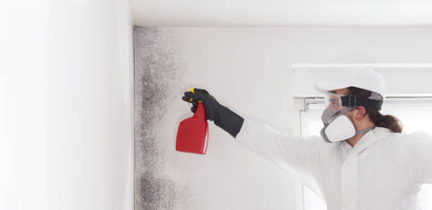 Claxton, GA Mold Remediation Company