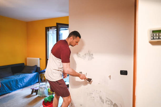 Best Mold Remediation for Schools in Claxton, GA